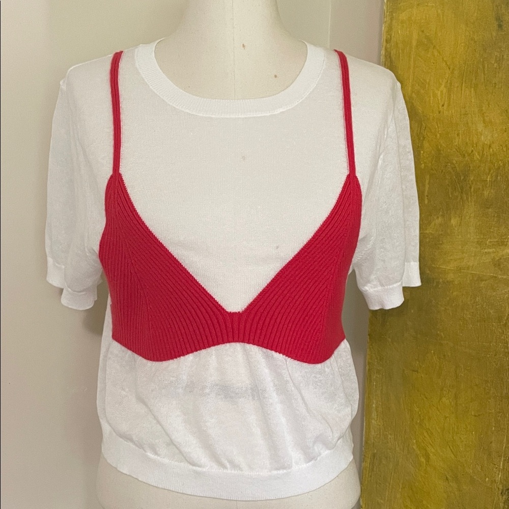 Whimsical Dopamine Beachy Crochet Sheer Red and White Crop Top